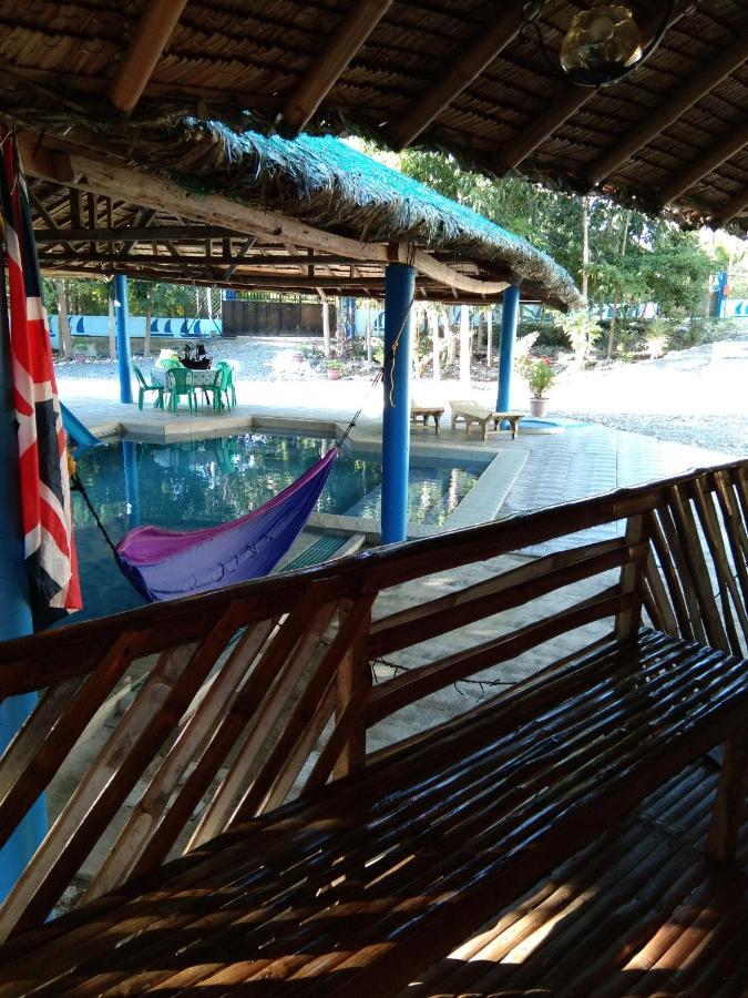 Happy Bear Moalboal Traditional Hut エクステリア 写真